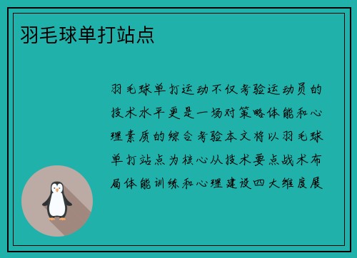 羽毛球单打站点