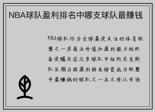 NBA球队盈利排名中哪支球队最赚钱